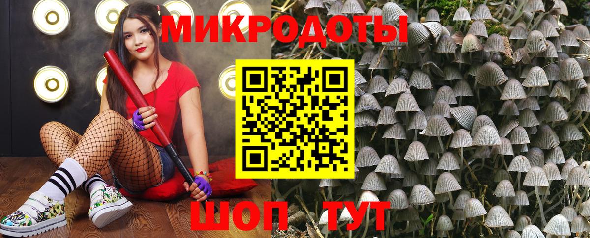 Псилоцибиновые грибы мицелий Минеральные Воды